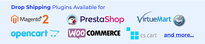 dropship-platform-create-online-marketplace